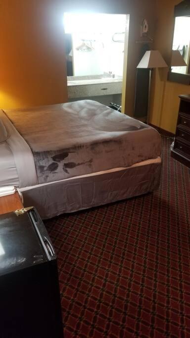 Hotel 2 Queen Beds Hotel Room 240 Wi-Fi Booking